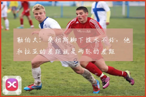 勒伯夫：桑切斯脚下技术不好，他和拉亚的差距就是两队的差距