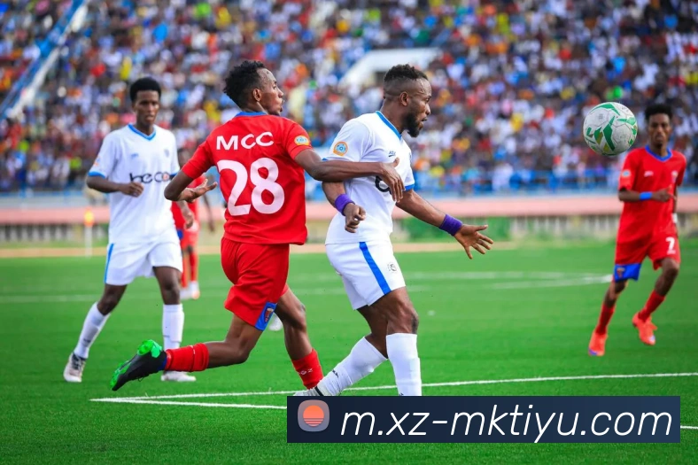 MK体育服务体系